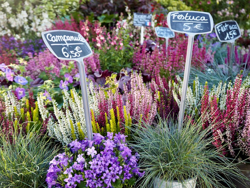 A vibrant display of flowering plants and shrubs at a garden centre, featuring various species with colors including purple, pink, yellow, and white. Handwritten chalk signs on small blackboards indic