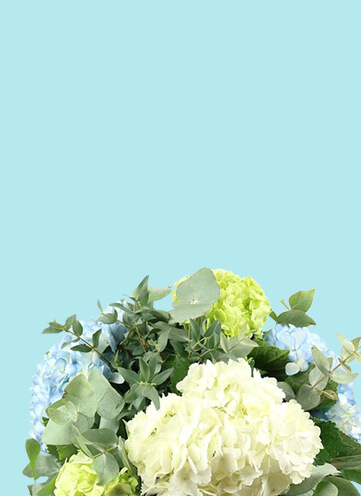 Same day Flowers Finchley